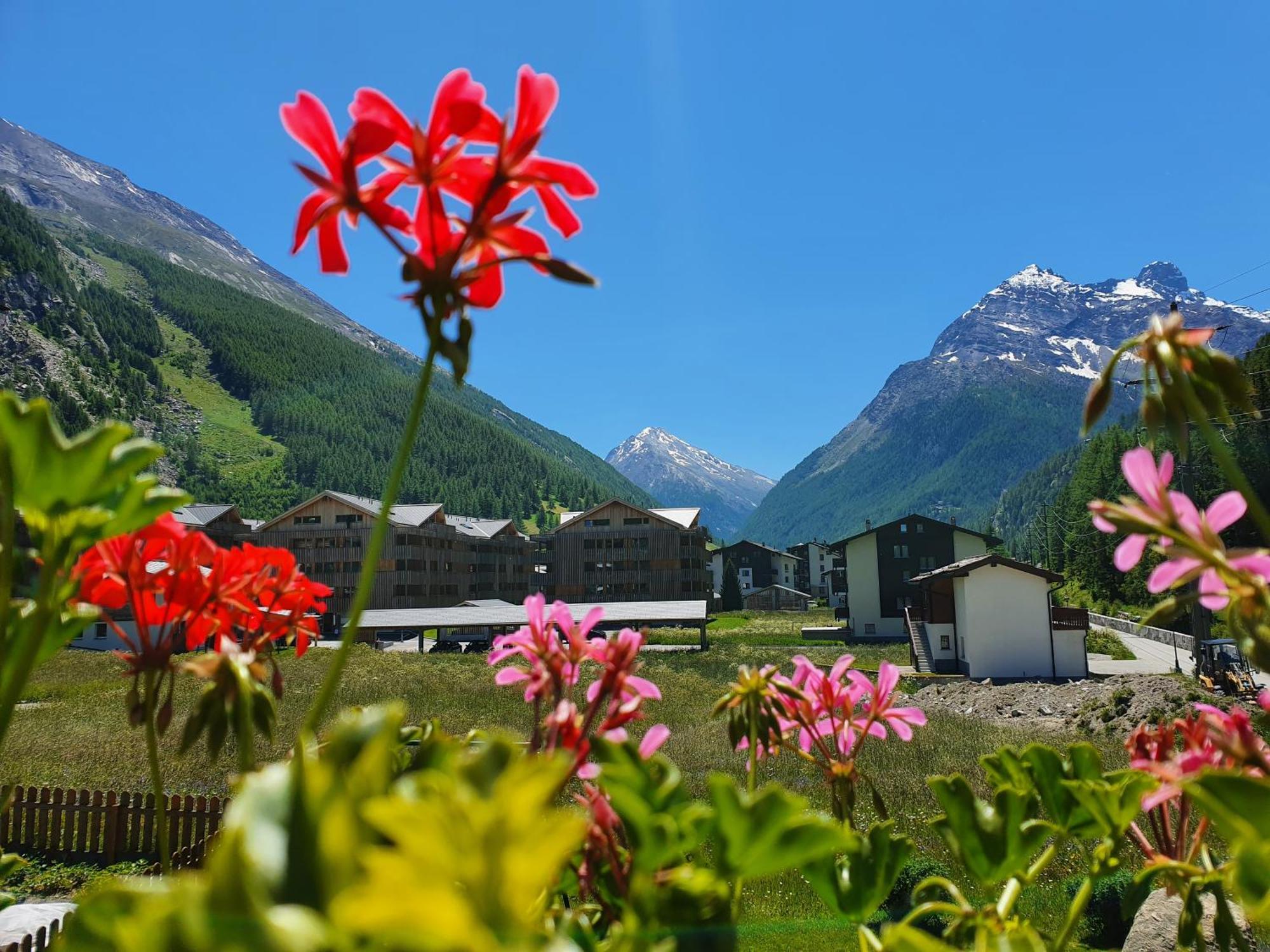Haus Artemis Daire Saas-Grund Dış mekan fotoğraf